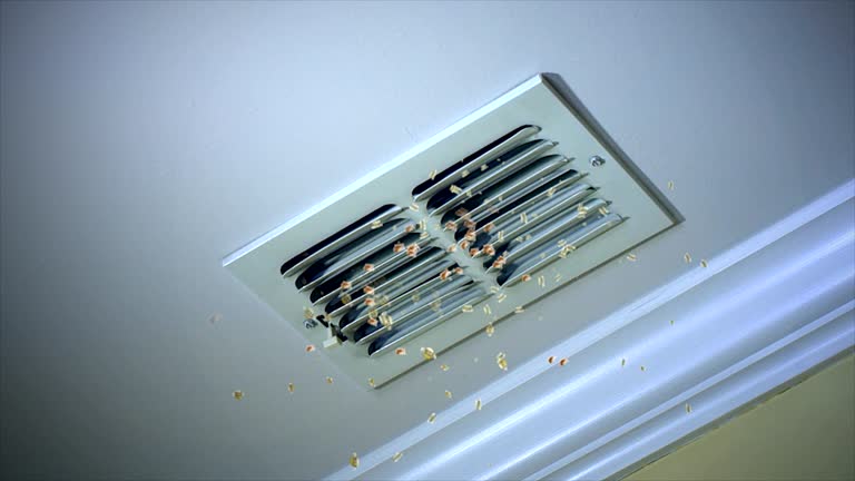 Best Best Air Duct Cleaning Company  in Emigsville, PA